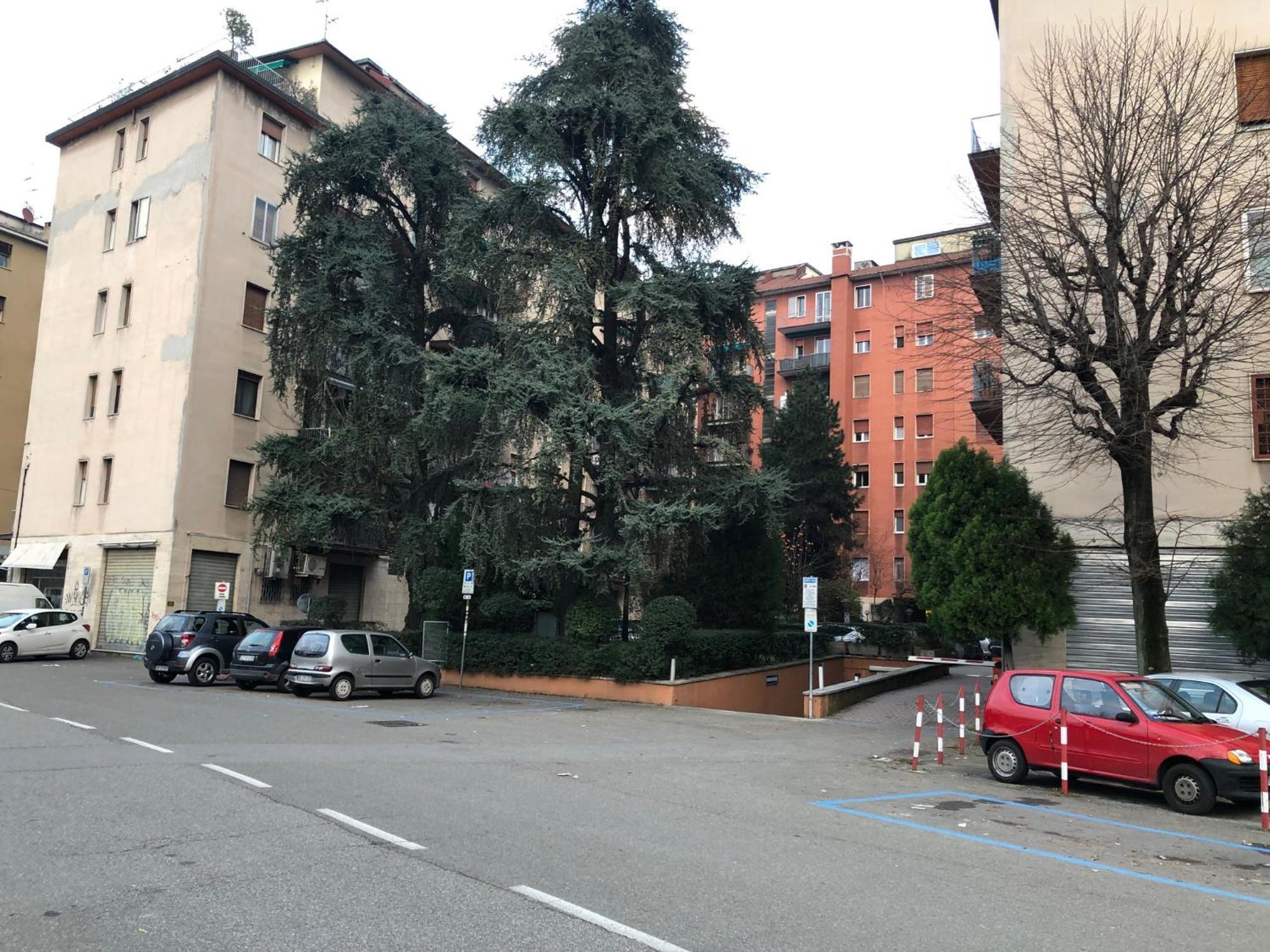 Tra Le Torri B&B - Ampia Stanza Privata In Appartamento Con Bagno Privato Accessibile Da Corridoio Bologna Eksteriør bilde
